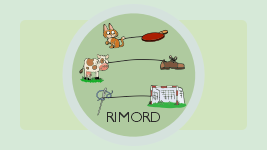 Rimord