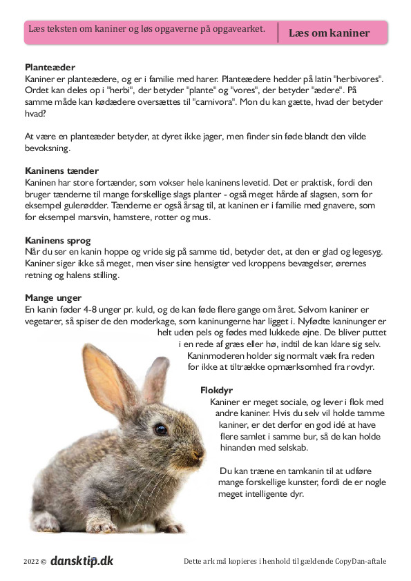 Kopiark/opgave:Læs om kaniner - med opgaver