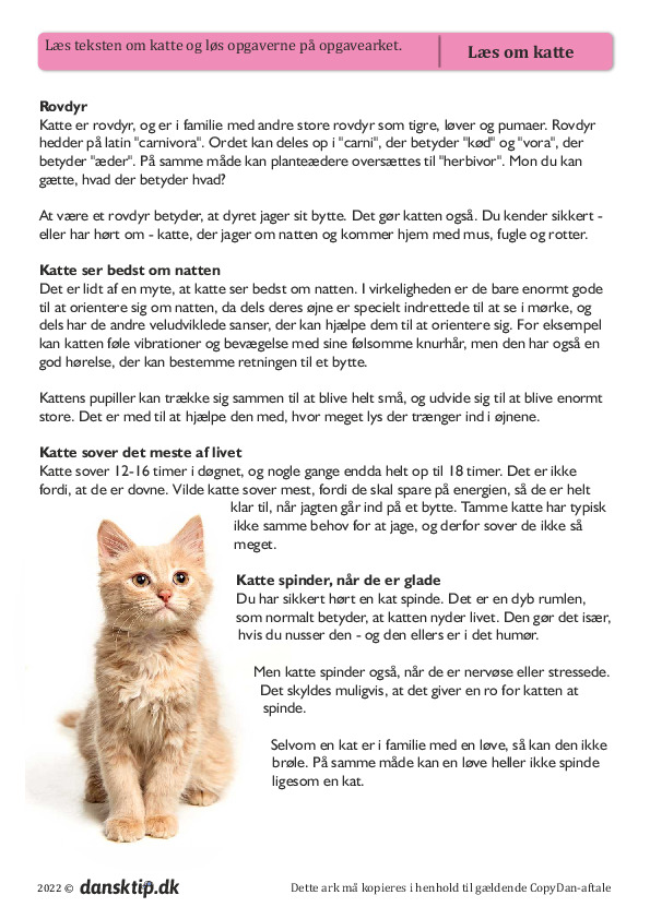 Kopiark/opgave:Læs om katte - med opgaver