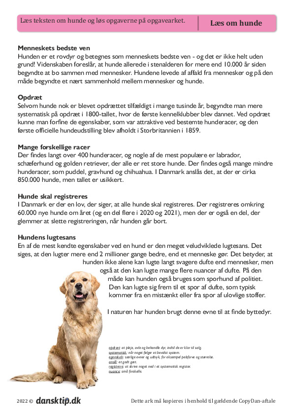 Kopiark/opgave:Læs om hunde - med opgaver