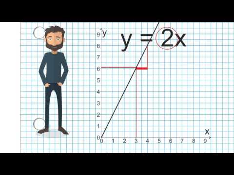 Peter forsøger sig med lineære funktioner